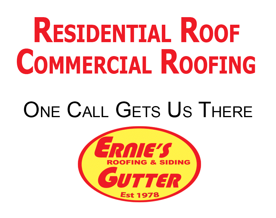 Best Roofer in Denver